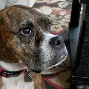 Meet your Posher, Sue